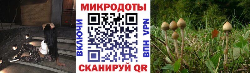 Псилоцибиновые грибы Magic Shrooms  Ельня 
